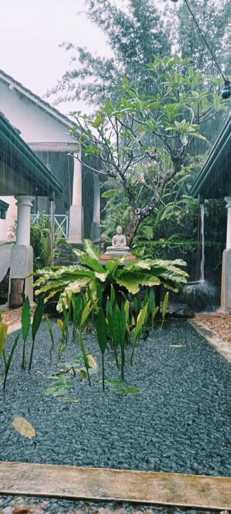Jansen's Sinharaja Rainforest Retreat Kudawe